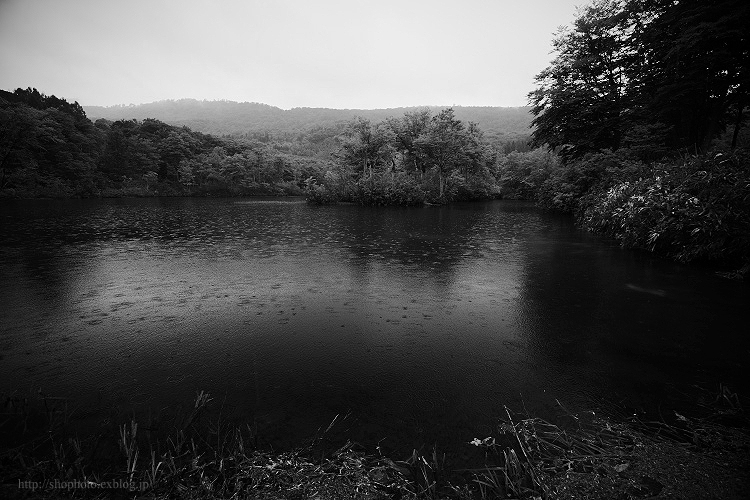 c0189533_6595298.jpg