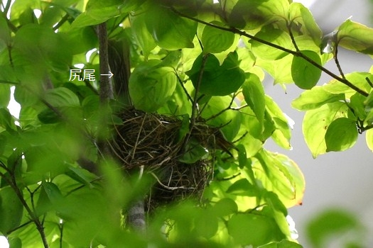 c0134734_20563777.jpg