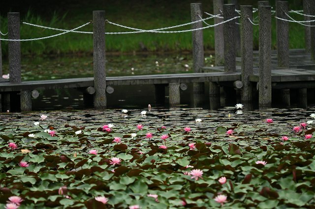 a0242438_17543799.jpg