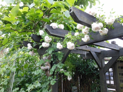 c0195439_0201915.jpg