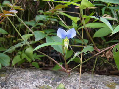 b0019140_16311150.jpg