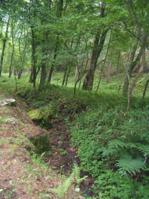 f0183141_21473852.jpg