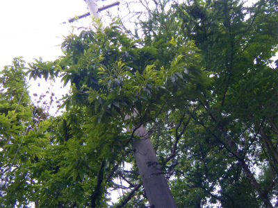 f0183141_21591788.jpg