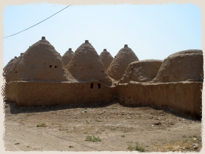 d0227344_93179.jpg