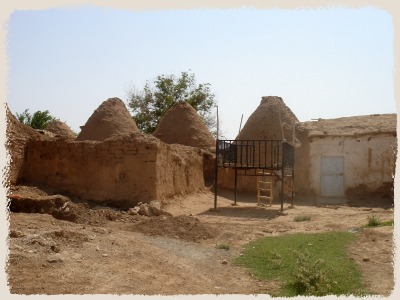 d0227344_935921.jpg