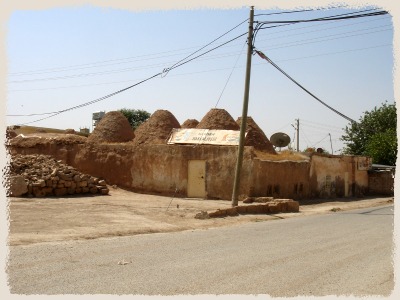d0227344_961470.jpg