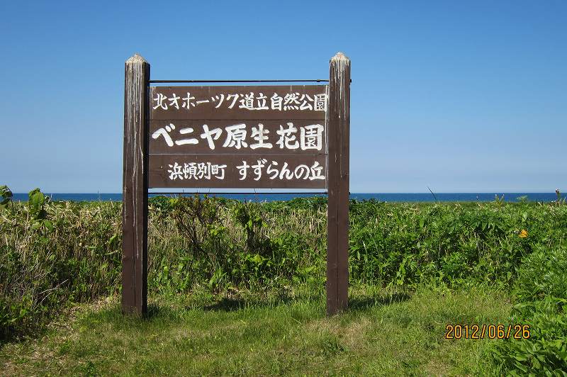 f0044056_638097.jpg