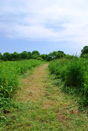 b0086858_13153243.jpg