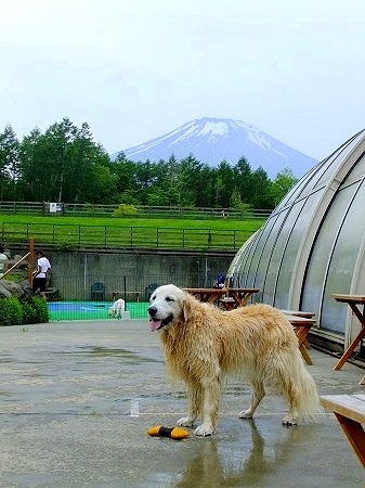 c0097558_11555546.jpg