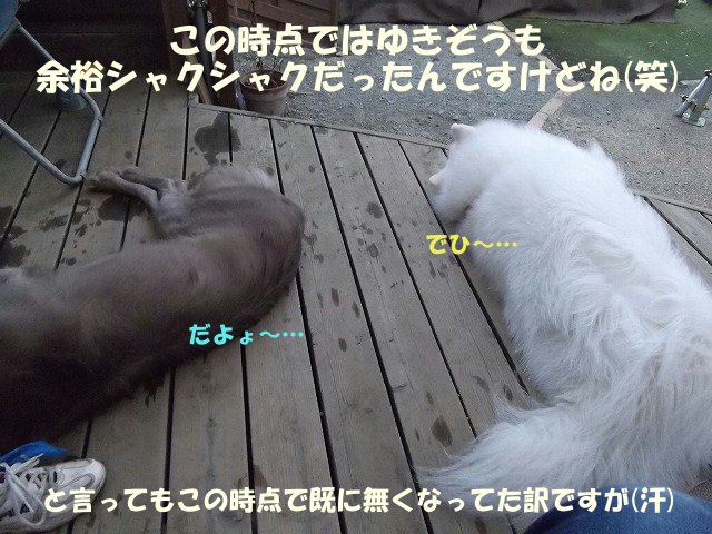 e0176159_120949.jpg