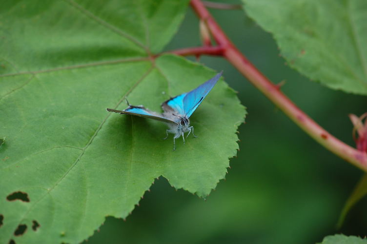 b0167762_014050.jpg