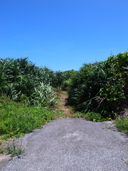 c0048265_14413558.jpg