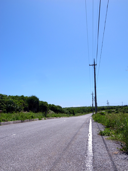 c0048265_14423326.jpg