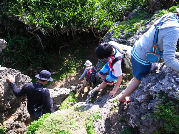 c0048265_14544582.jpg