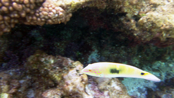 c0048265_16205138.jpg