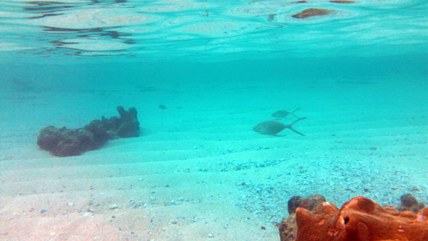 c0048265_1621017.jpg