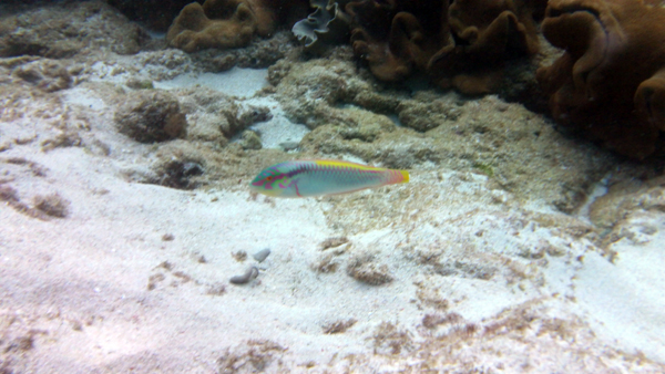 c0048265_16211295.jpg