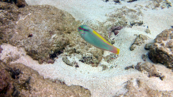 c0048265_16212220.jpg