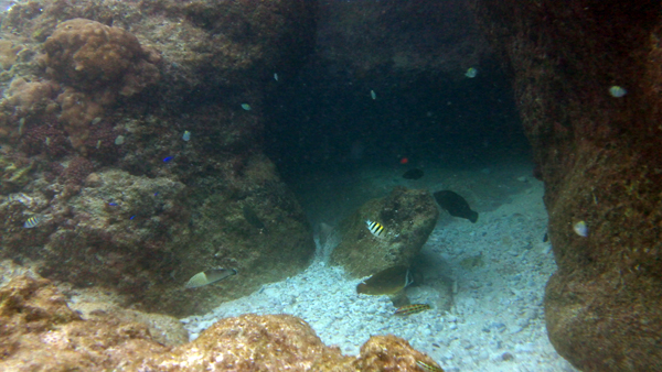 c0048265_16214766.jpg