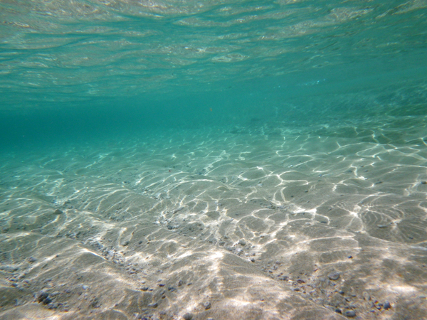 c0048265_16285532.jpg
