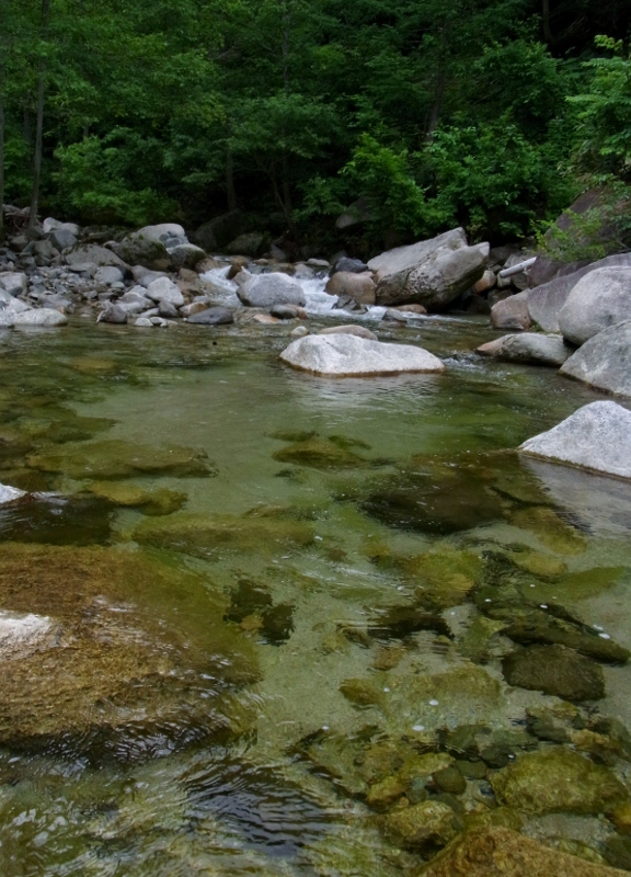 c0198267_7352630.jpg