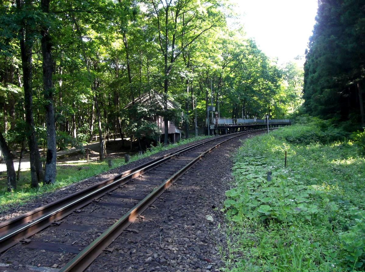 b0067569_11232294.jpg