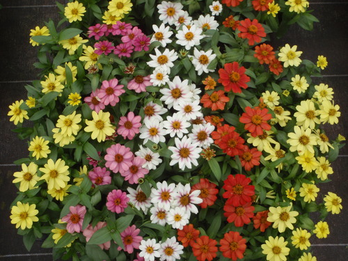 f0224772_20591539.jpg