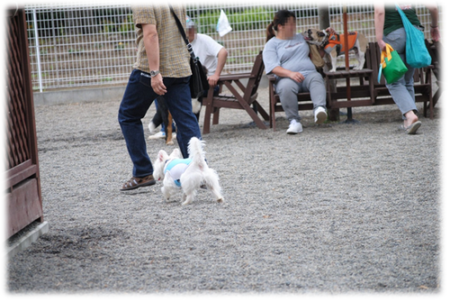 b0242873_1164888.png
