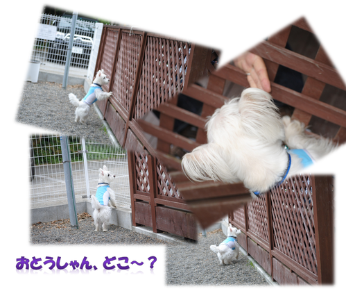 b0242873_1194939.png