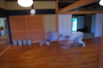 f0054677_18414661.jpg