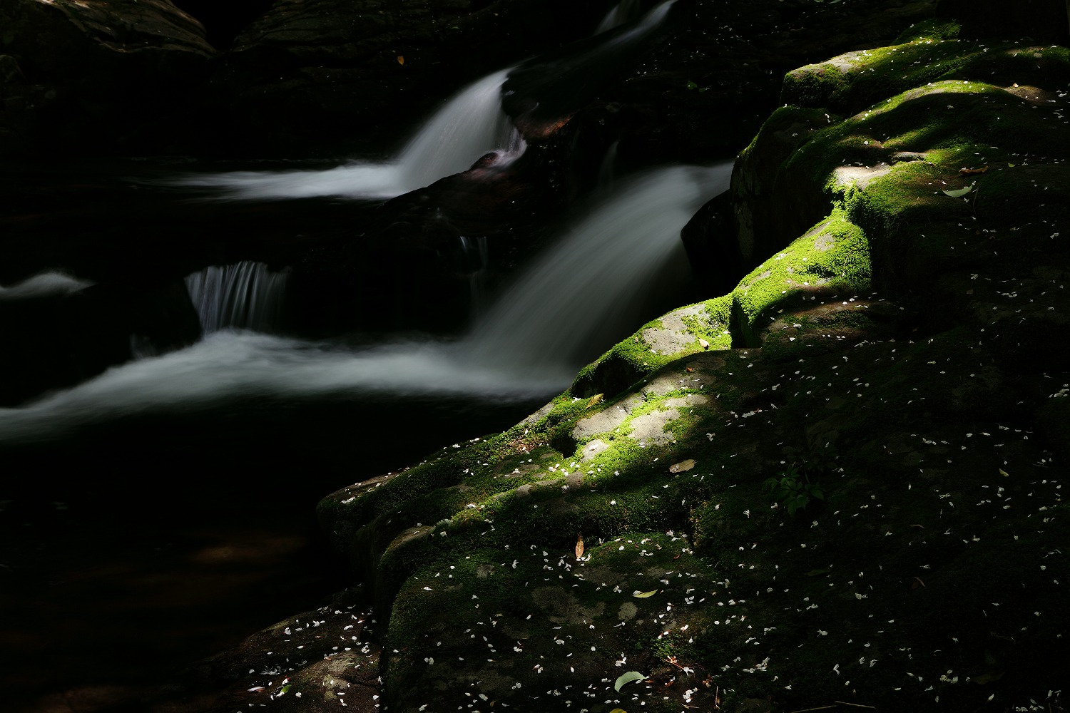 e0244181_21251873.jpg