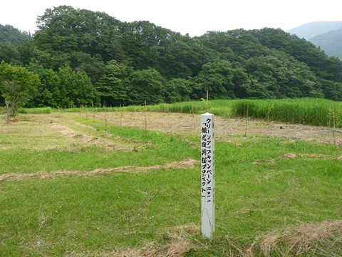a0138198_16145024.jpg