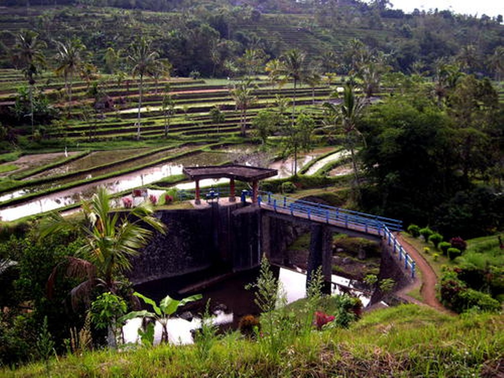 e0245601_23133028.jpg