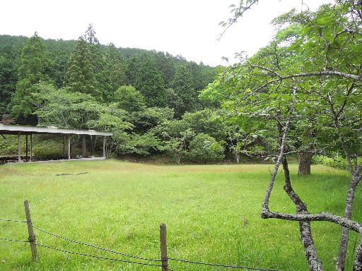c0149408_14334975.jpg