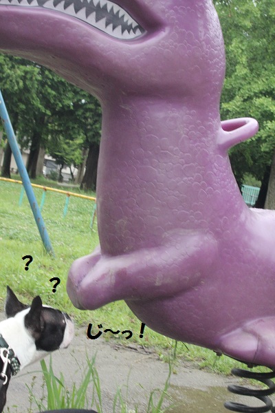 f0186509_21555535.jpg