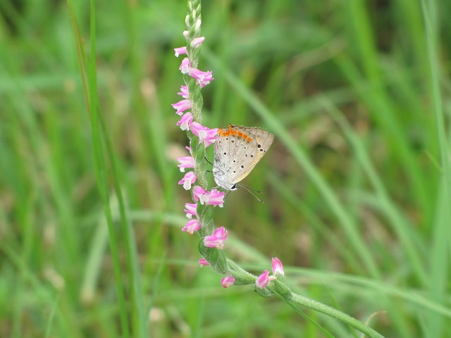 d0037110_21544358.jpg