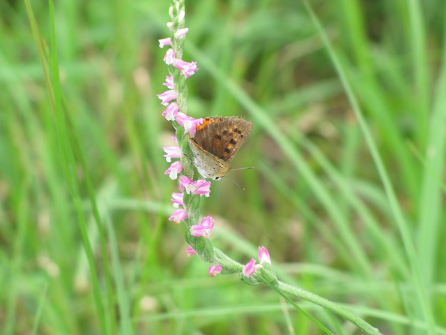 d0037110_21545946.jpg