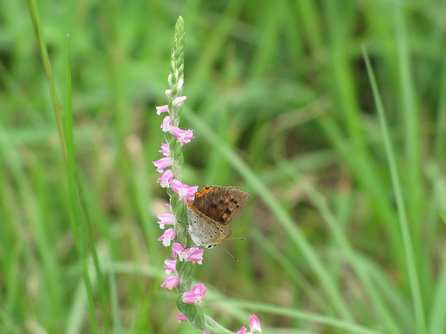 d0037110_21551043.jpg