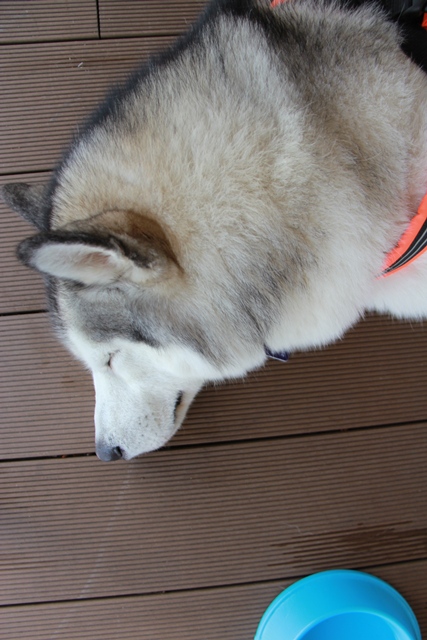 b0207615_21435287.jpg