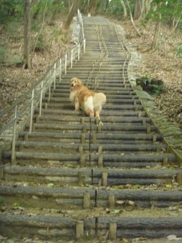 e0140616_20222851.jpg