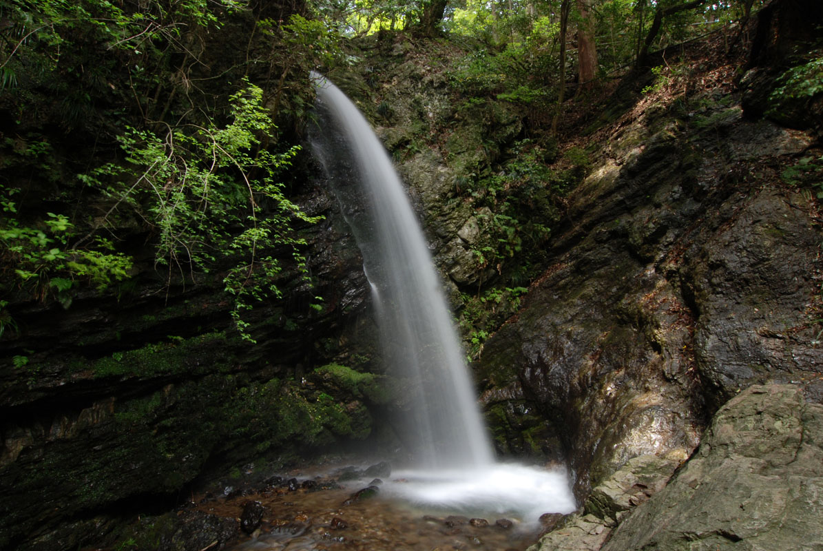 f0206417_235916.jpg