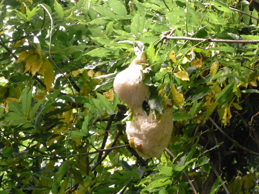 f0140720_0225342.jpg