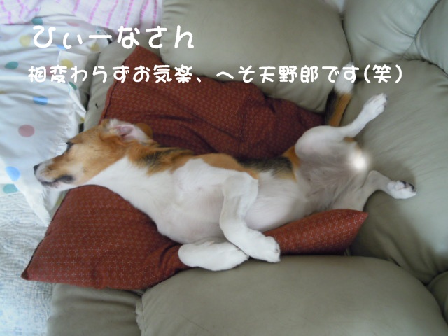 c0166622_11301078.jpg