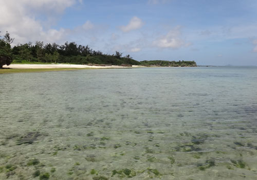 a0050227_1412865.jpg