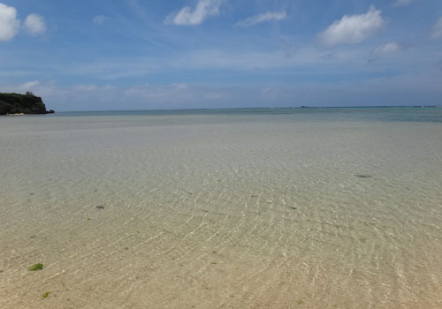 a0050227_1461795.jpg
