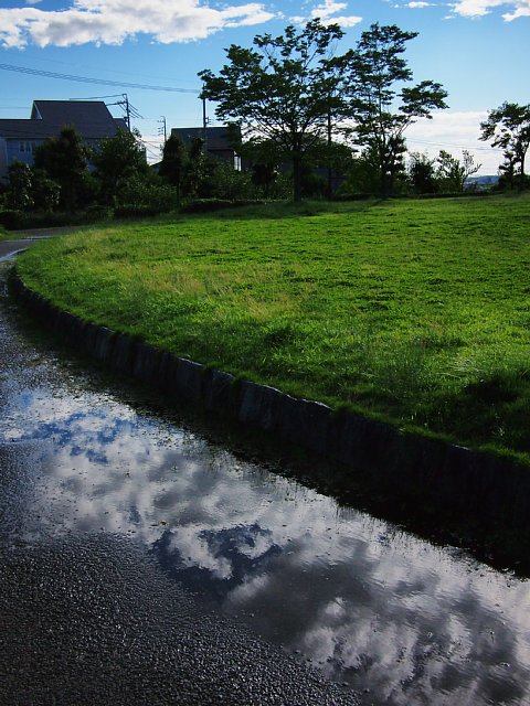 b0134829_19424036.jpg