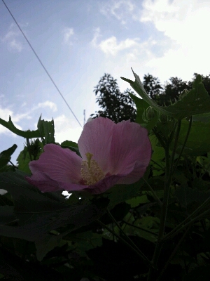 f0057634_1212230.jpg