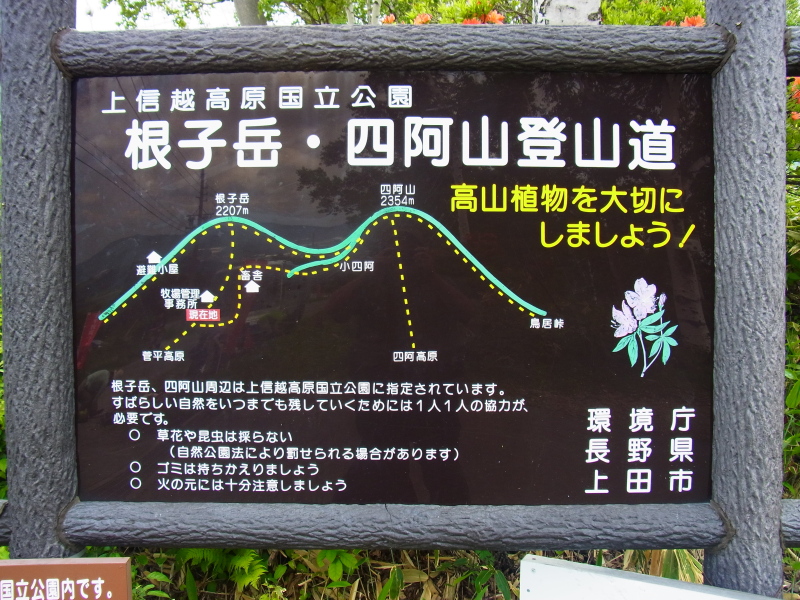 b0190242_21392345.jpg
