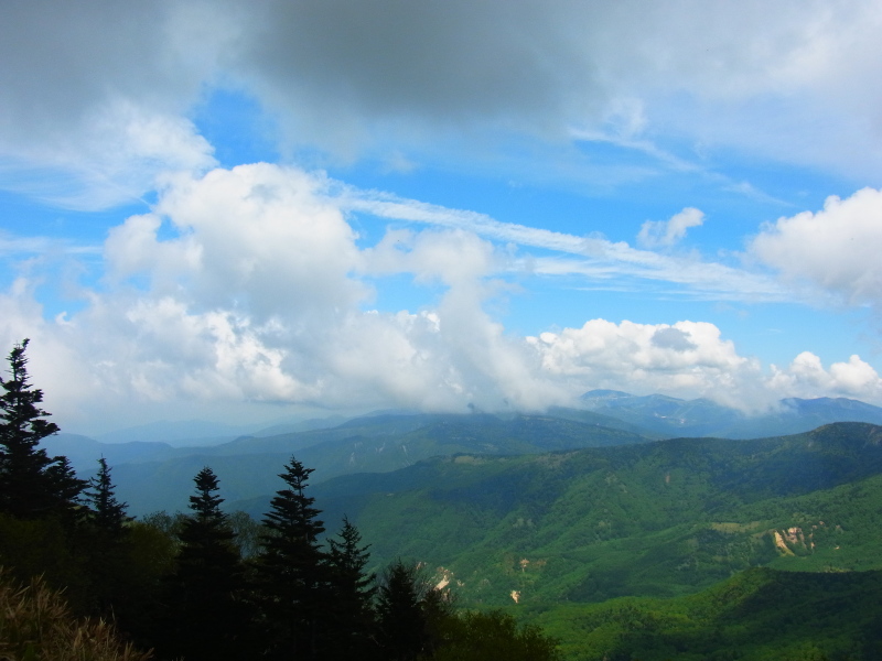b0190242_21412280.jpg