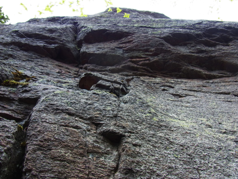 b0190242_21423089.jpg